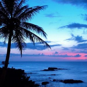 Meet your Posher, Cherry